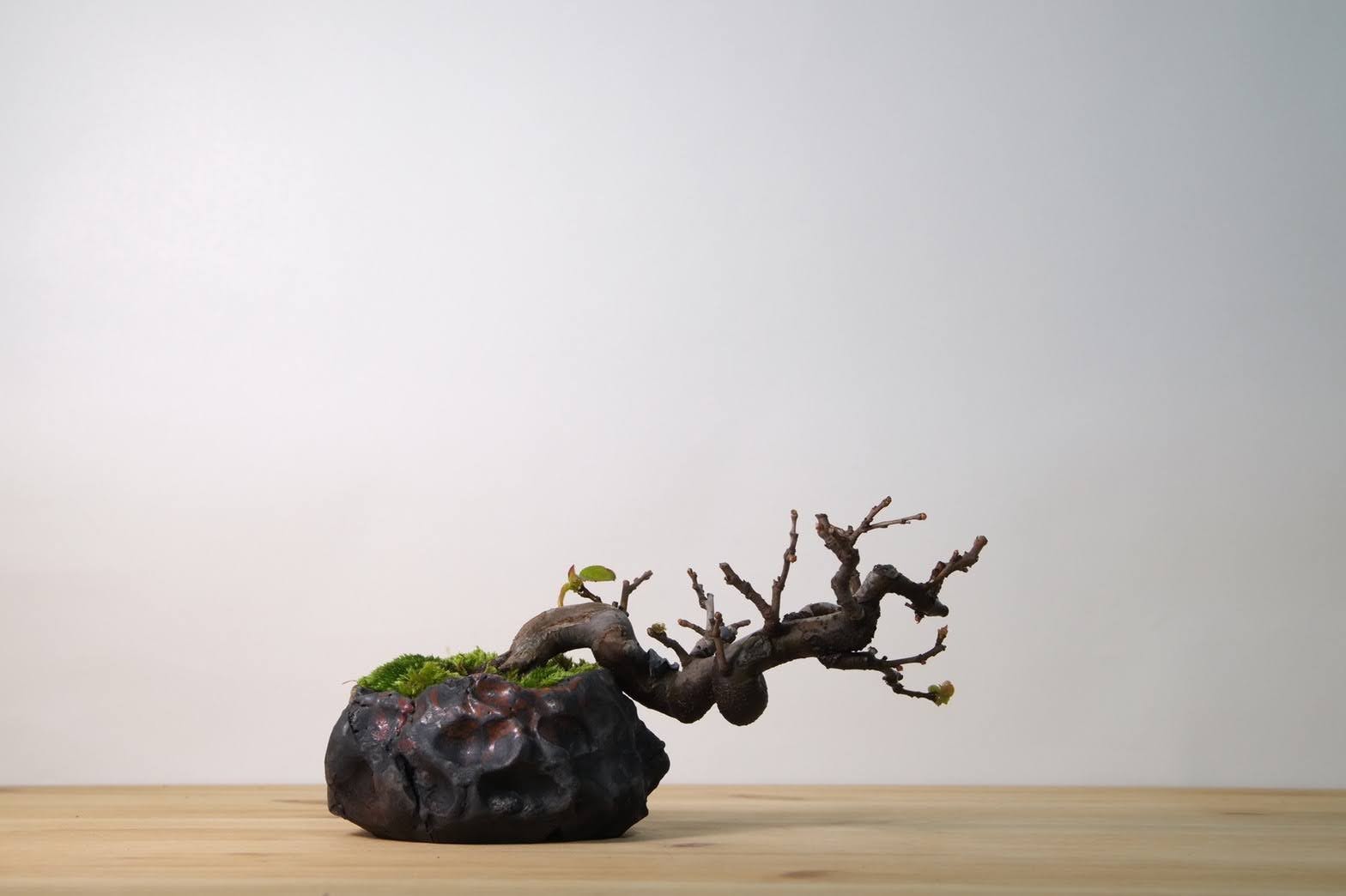 WORTHLESS x JOURNAL STANDARD 表参道 4