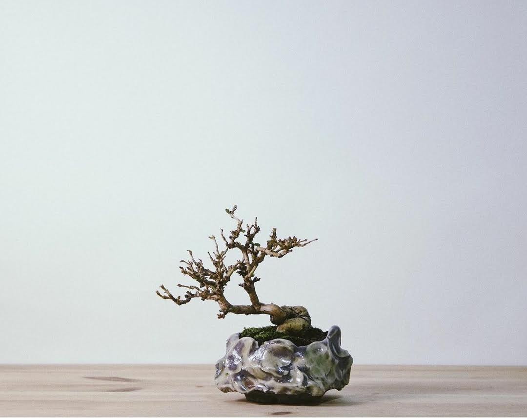 WORTHLESS x JOURNAL STANDARD 表参道