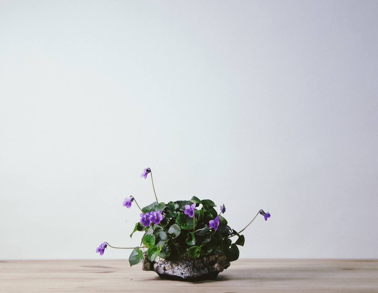 WORTHLESS x JOURNAL STANDARD 表参道 5