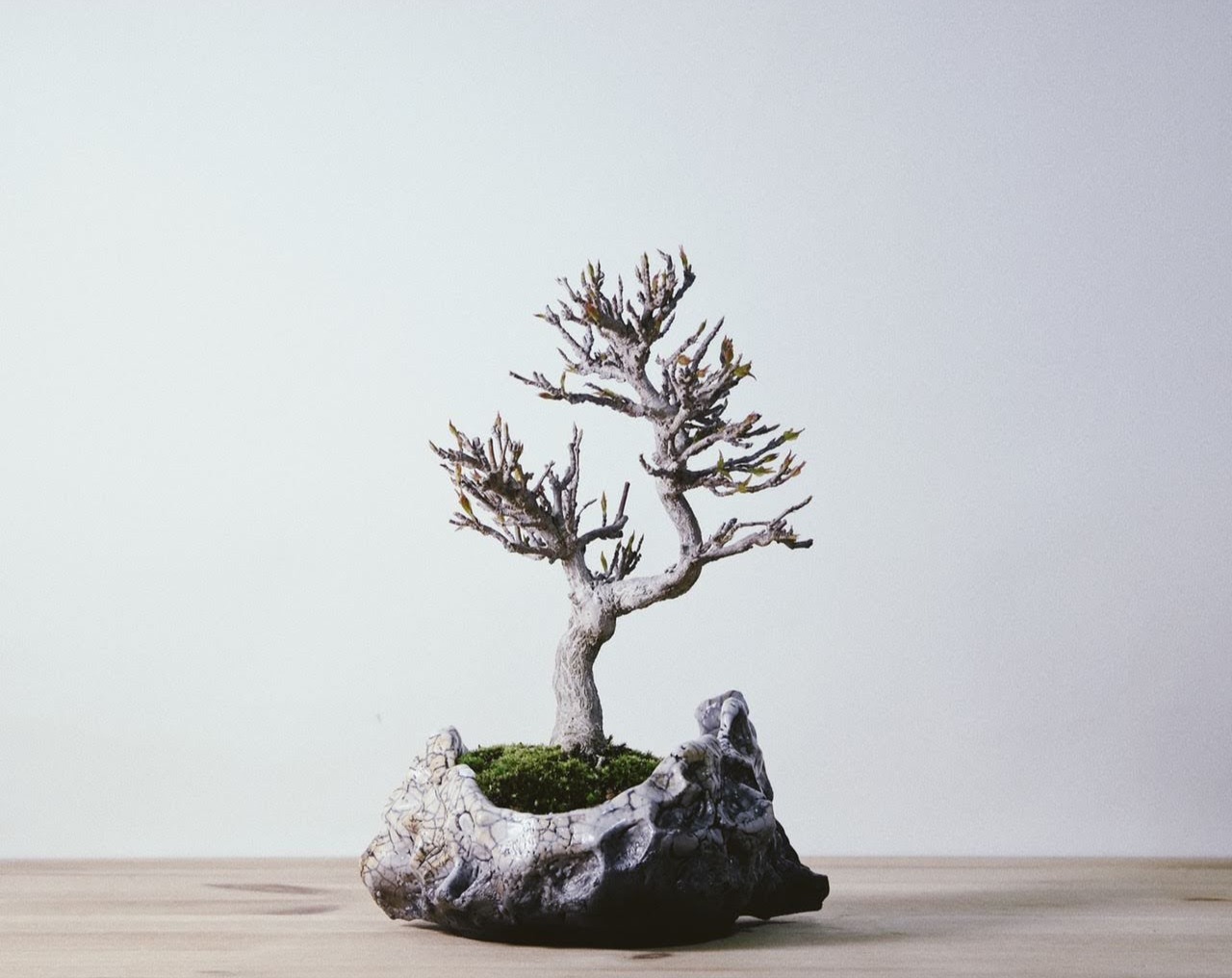 WORTHLESS x JOURNAL STANDARD 表参道 2